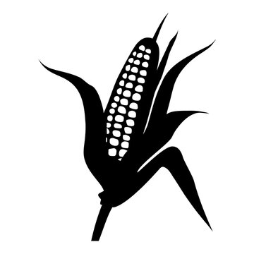 recommend clip art: Corn cob silhouette icon isolated. Vector illustration