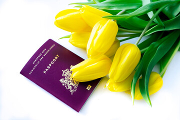 Top view European biometric passport of Netherlands. Official passport of Netherlands with yellow...