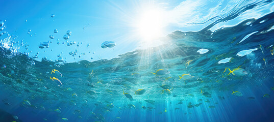 Fototapeta na wymiar Panoramic Landscape of Water in the Sea or Ocean with Sunlight and Fishes - Summer Background with Copy Space for Text or Product