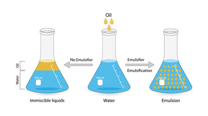 Emulsion, a mixture of two immiscible liquids (oil and water) in beakers, Emulsion oil in water, Immiscible liquids. Emulsification, emulsifier. isolated on white background. Vector illustration.