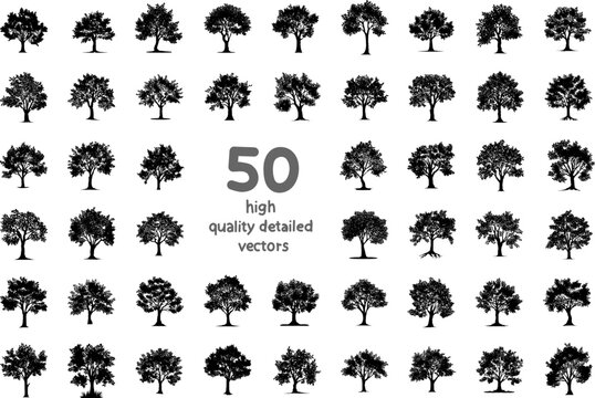 set of silhouettes of deciduous trees vector images on a white background