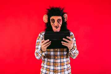 Man with chimpanzee monkey mask and checkered shirt, using a tablet, on red background.