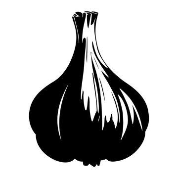 Garlic silhouette icon isolated. Vector illustration