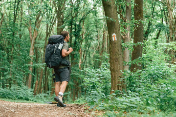 Mark with arrow on the tree that is showing the way. Tourist in summer forest. Conception of exploration and leisure