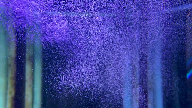Air bubbles in empty fish aquarium lit with purple led light