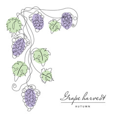 Grape. Continuous line drawing grapevine. Illustration of autumn harvest fruits. Frame.