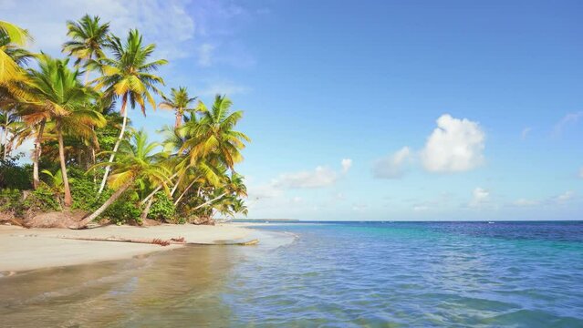 Bright coconut palms and the azure Caribbean Sea under a blue sunny sky. Amazing wild beach of Saona island in the Atlantic Ocean. Green palms on white sand. Palm Island beach.