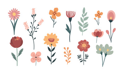 Set of vector illustrations of flowers in doodle style on a white background. for design and invitations.