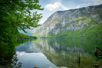 slovenia nature and water at bohinj