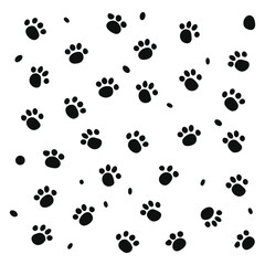 black dog paw and white background