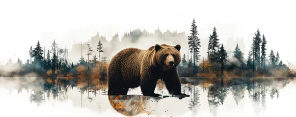 Foto op Aluminium Wild brown bear design for t shirt printing. on white background. wide banner © Michal