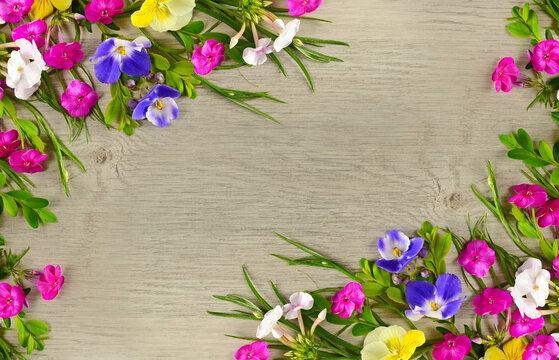 Floral pattern of daisies, phloxes, violets on gray . Free space for text.