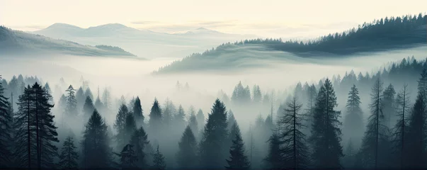 Fototapete Wald im Nebel Misty foggy mountain with green forest and copyspace for your text.