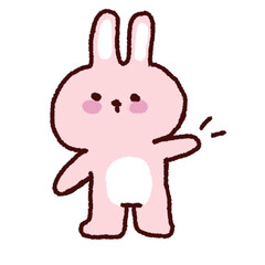 Pink rabbit 