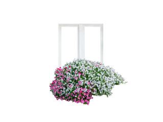 window frame house with flowers surfinia (petunia) isolated on a white background