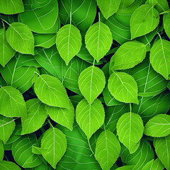 Fototapeta na wymiar juicy green leaves