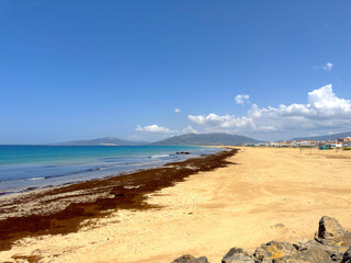 extensive wide sandy beach and dunes in Tarifa at a beautiful summer day and blue sky, Llaya de los...