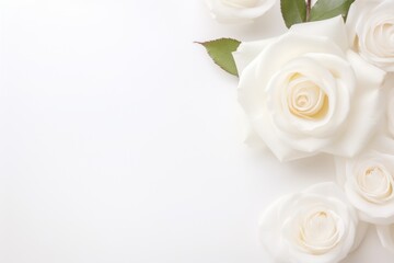 Banner with white roses on white background, greeting card with copy space, Generative AI