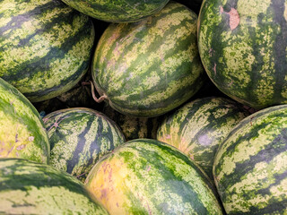 A lot of watermelons in the supermarket, top view