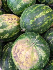 A lot of watermelons in the supermarket, top view