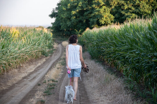 Young woman walking in nature with two small white dogs on the leash. Friendship and togetherness between humans and dog pets
