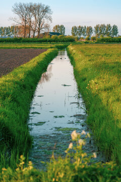 Stunning serene view of Dutch polder farmland with a water-filled canal running between the two farm fields, fresh green spring grass in the evening sunlight in Holland in the Netherlands