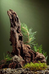 Abstract north nature scene on a dark green background.