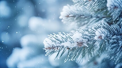 Close-up of snow covered pine tree branch - Powered by Adobe