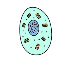 Animal Cell Science Illustration Drawing Educational