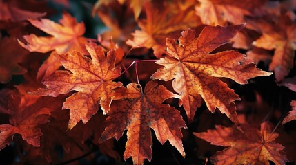 Autumn Maple Foliage, created with Generative AI technology.