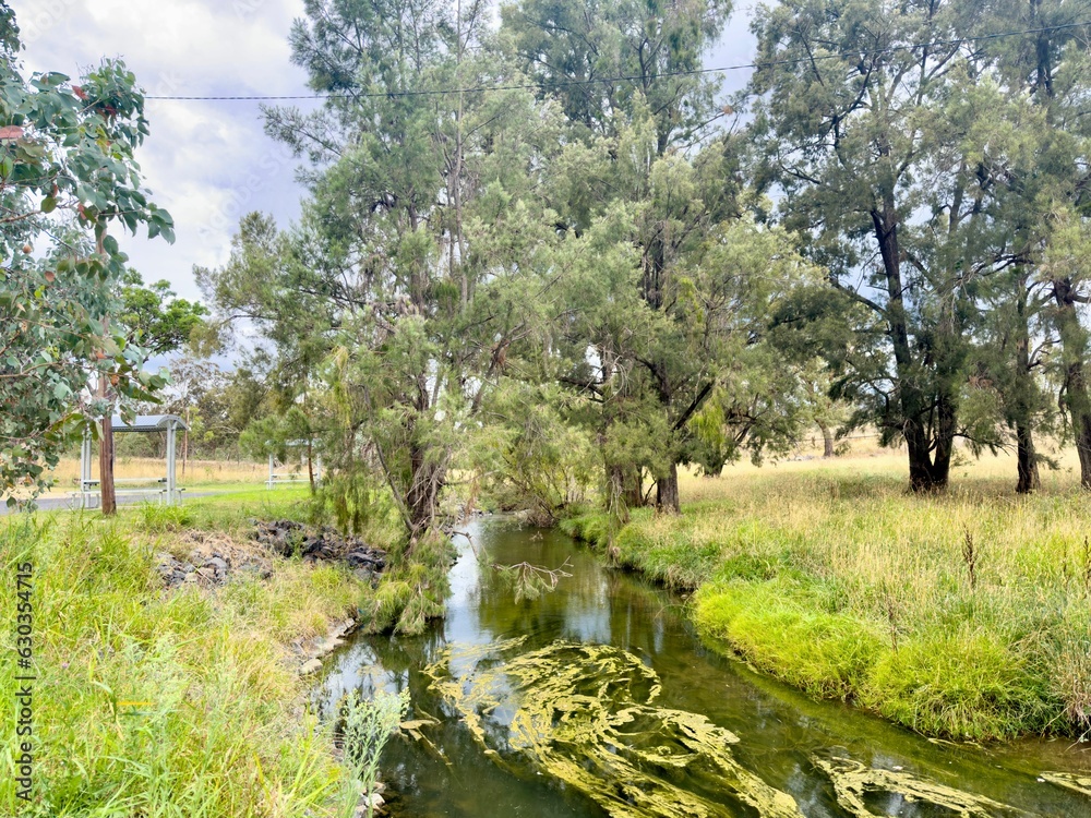 Sticker Landscape of a River with Algae on a cloudy day near Inverell, Australia