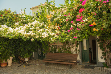 Fototapeta premium Portuguese house with sea of flowers