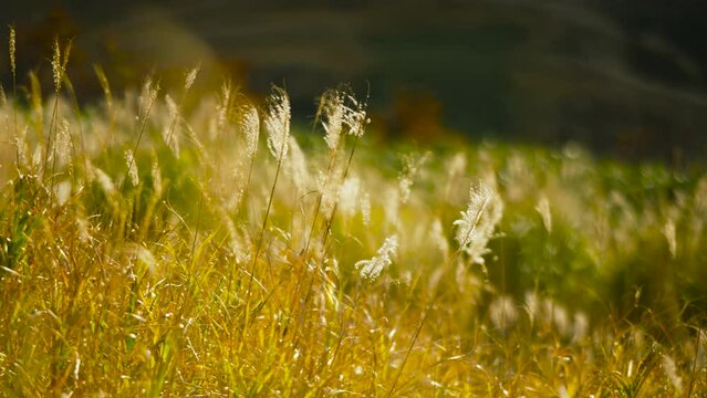 秋の山　頂上の風景　秋の登山