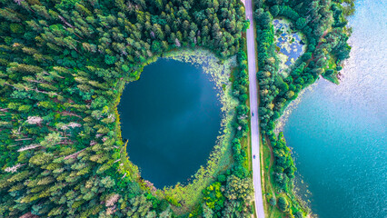 lithuania lake nature road forest drone