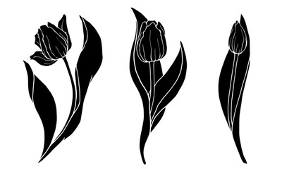 Set of silhouettes of flowers and buds of tulips.Vector graphics.