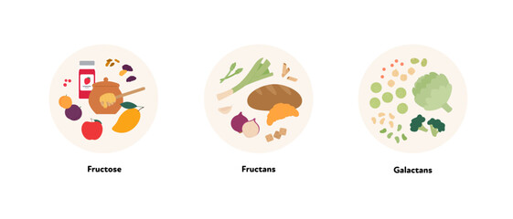 Healthcare dieting infographic collection. Vector flat food illustration. Low Fodmap diet. Foodplate of fructose, fructan, galactan ingredients. Design for health care and healthy eating