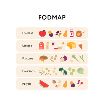 Healthcare dieting infographic collection. Vector flat food illustration. Low Fodmap diet. Types of fructose, lactose, fructan, galactan, polyol product. Poster design for healthy eating guide