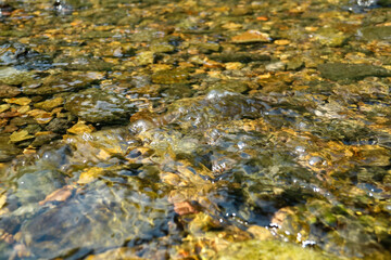 close up of stones in a river, shallow depth of field.