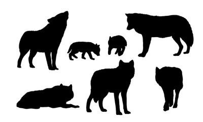 Set of wolves silhouettes. Males, females and puppies of an wolf. realistic vector animal