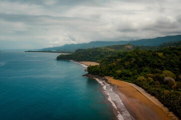 Stunning aerial view of dense forest near the ocean