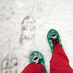 Hiker in snowshoes on snow - 630373903