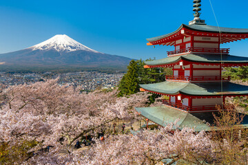 The Chureito Pagoda during spring season , part of the Arakura Sengen Shrine in Fujiyoshida ,Yamanashi Prefecture, Japan