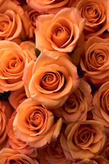 Vibrant Beauty of Abundant orange Rose Blossoms in a Serene Garden Setting - AI generated