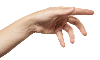 Outstretched hand, cut out