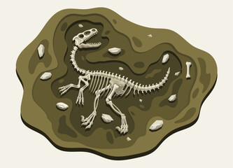 Raptor Dinosaurs Archaeology Fossil Cartoon Discover in the Ground