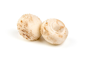 Champignons, close-up, isolated on white background.