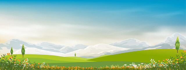 Obraz na płótnie Canvas Spring Background with Green Grass Field Landscape with Mountain,Blue Sky and Clouds,Panorama Summer rural nature in with grass land on hill.Cartoon Vector illustration backdrop banner