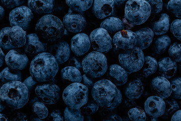 Ripe blueberries close up. Blueberry macro