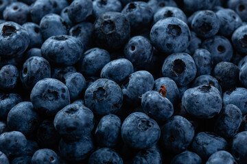 Ripe blueberries close up. Blueberry macro