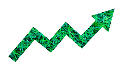 Green grass field and meadow forming Arrow shape sign on white background for Eco friendly...